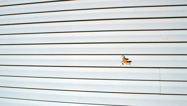 Best Custom Siding Design  in Mosinee, WI